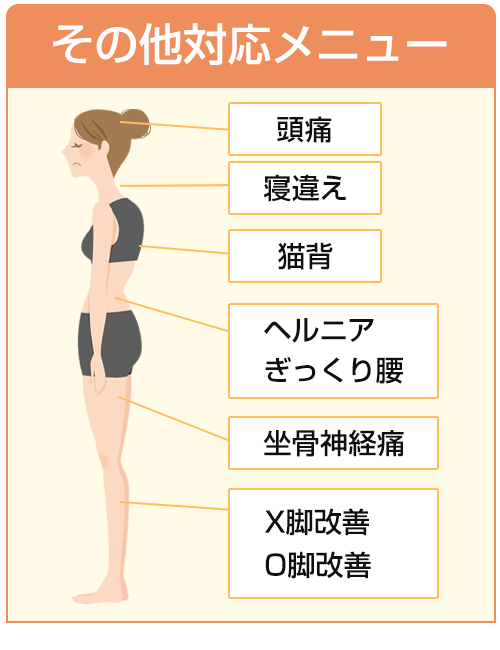 その他の対応メニュー